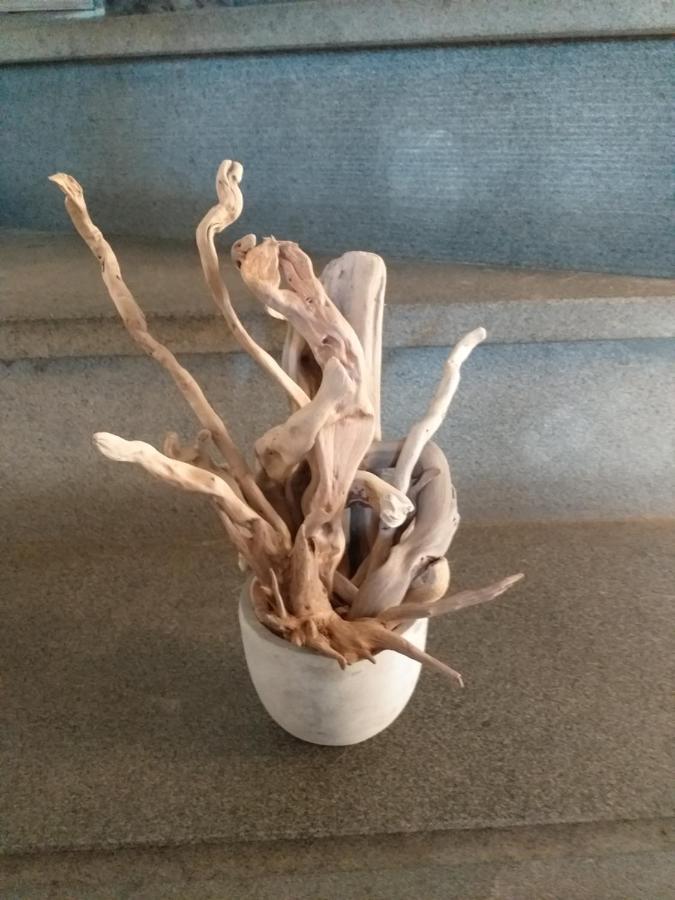 הוילה סרזאנה Casa Di Vecchio Borgo מראה חיצוני תמונה
